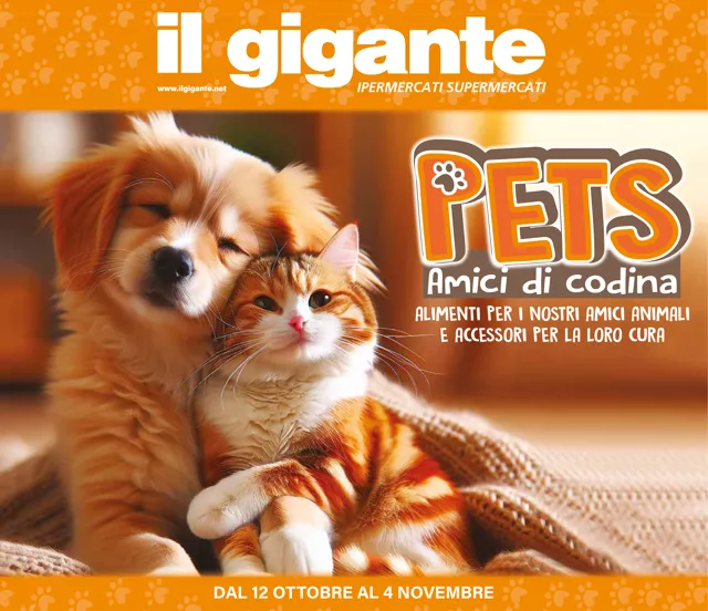 Anteprima del volantino
