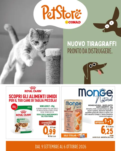 Anteprima del volantino