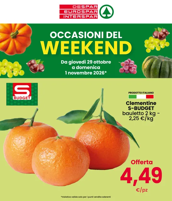 Anteprima del volantino
