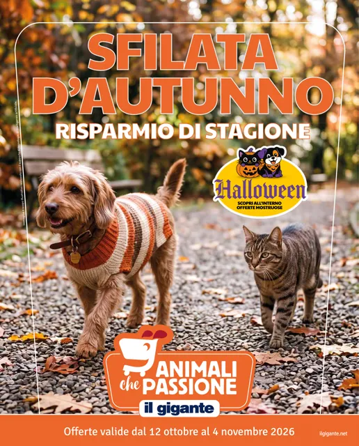 Anteprima del volantino