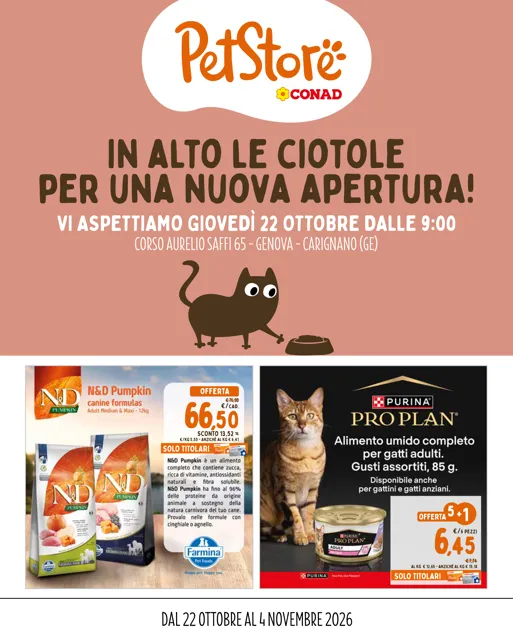 Anteprima del volantino