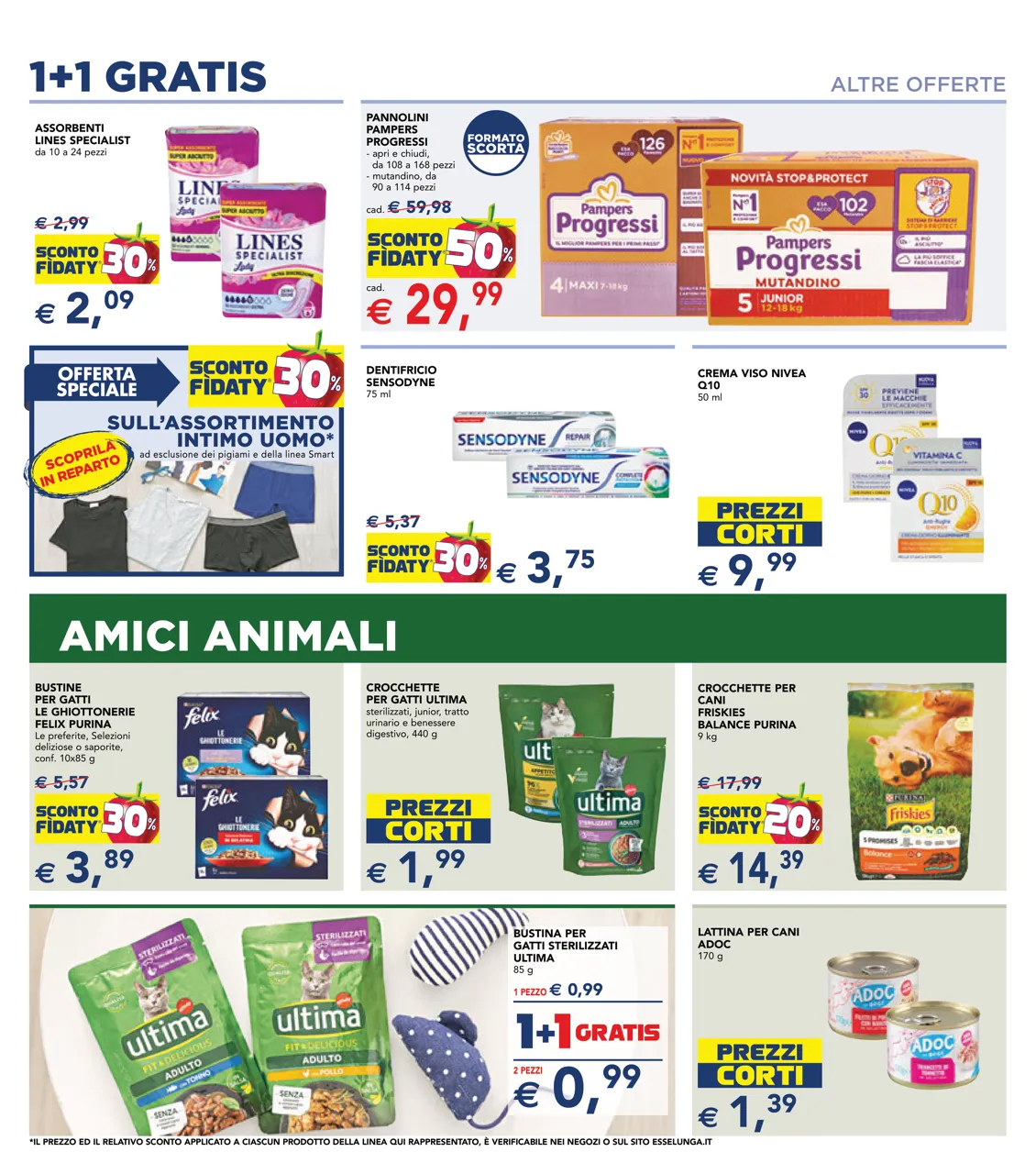 Pagina 13