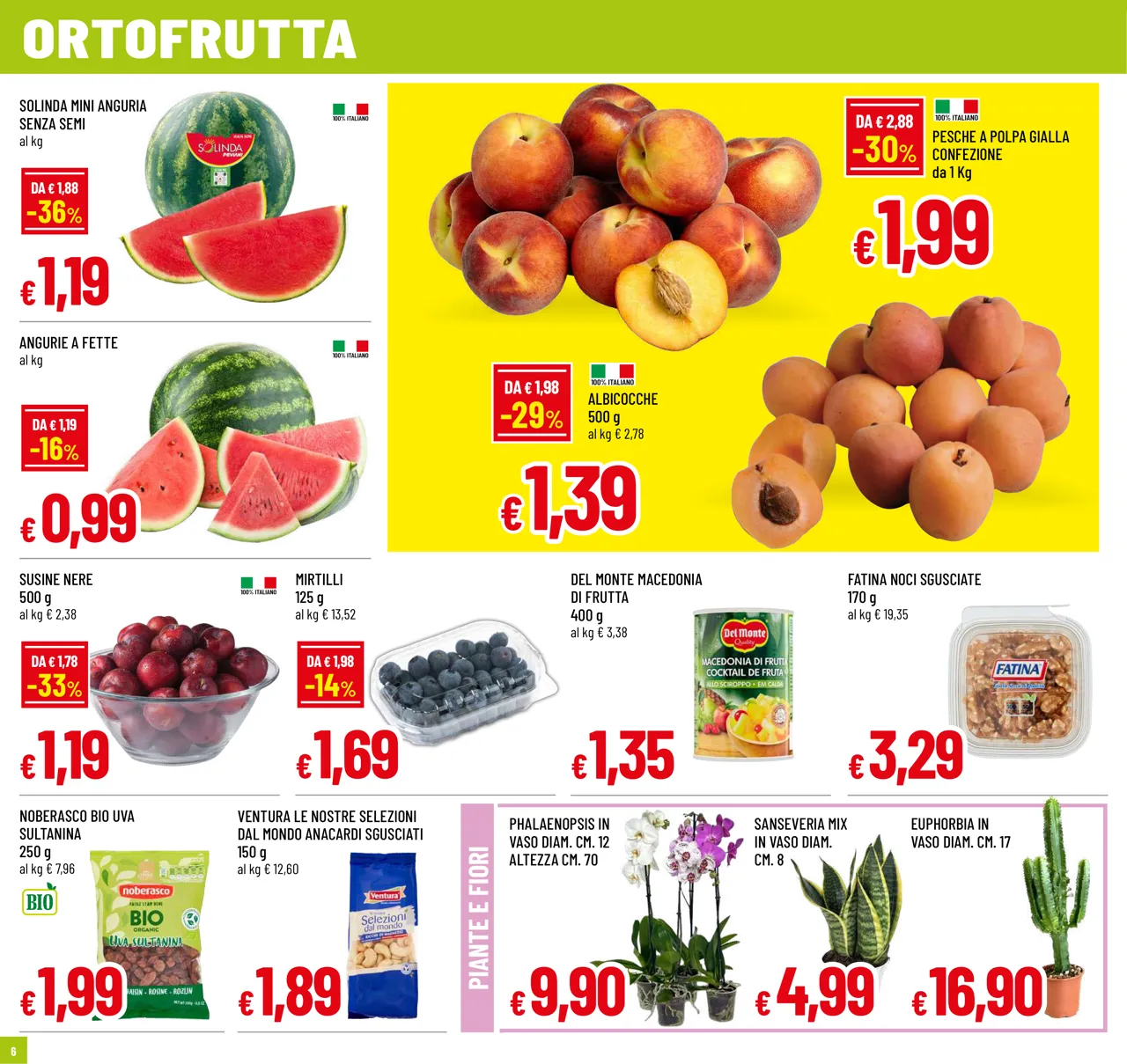 Pagina 6