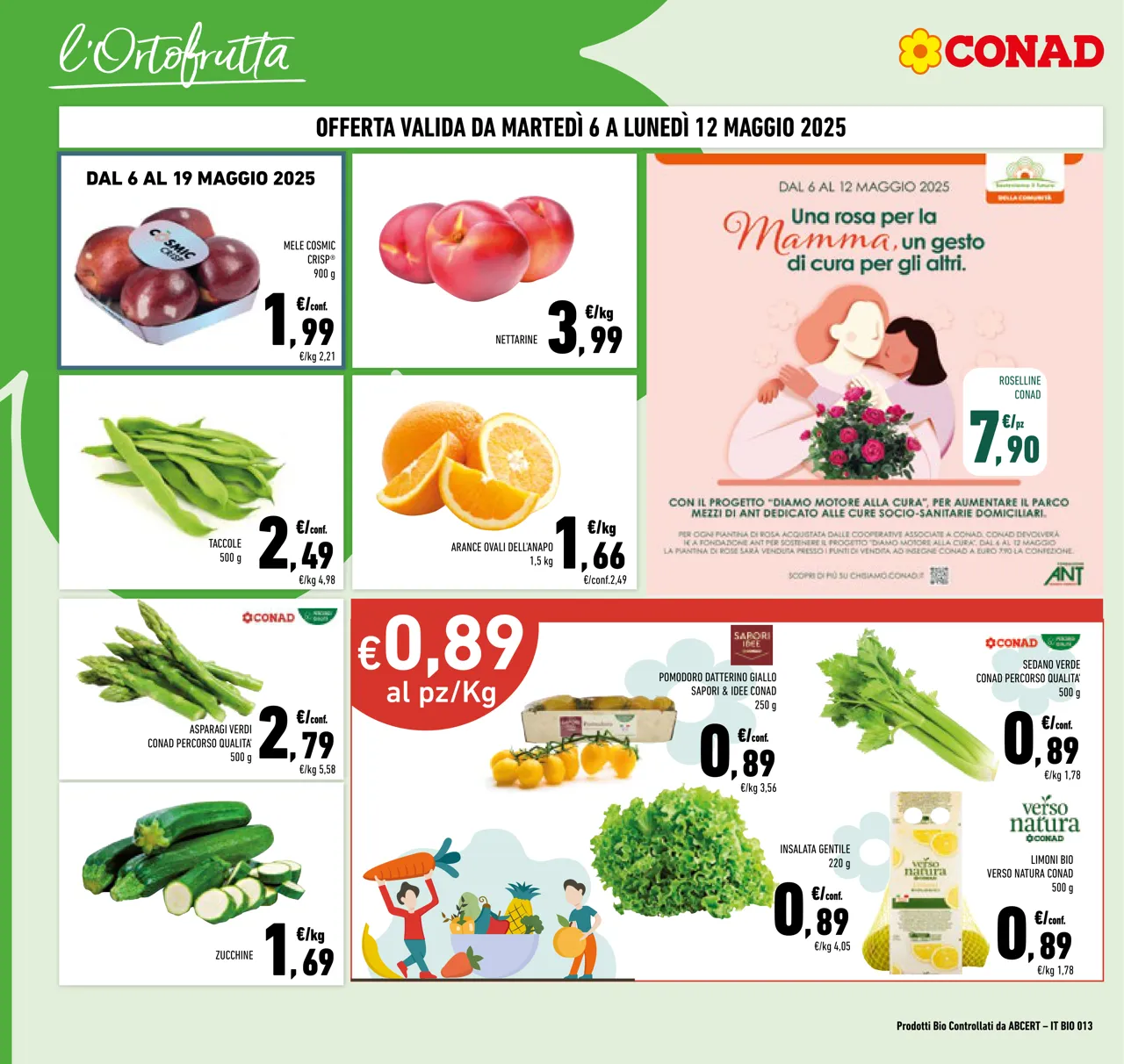 Pagina 6