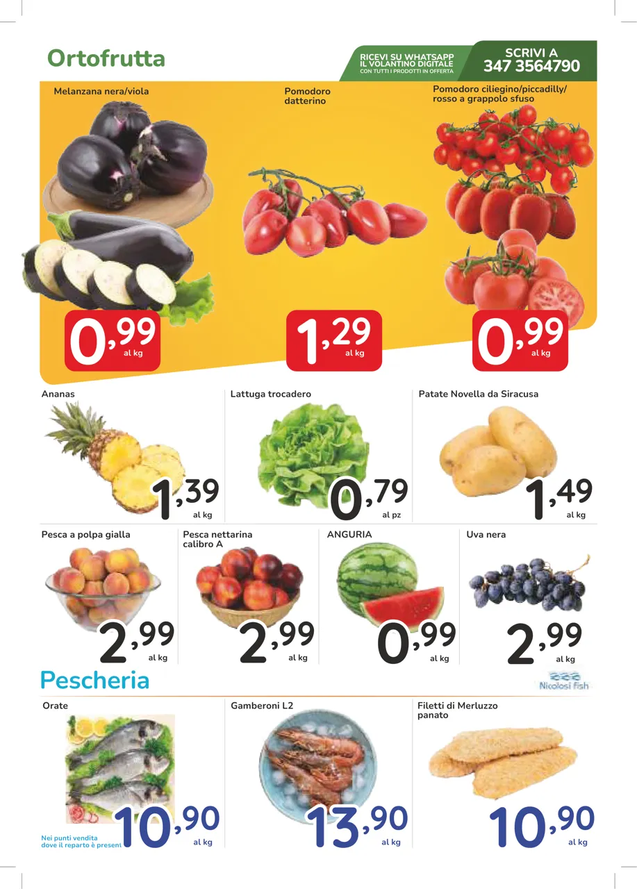 Pagina 5