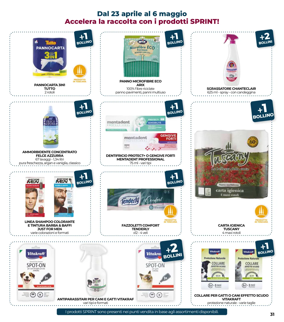 Pagina 31