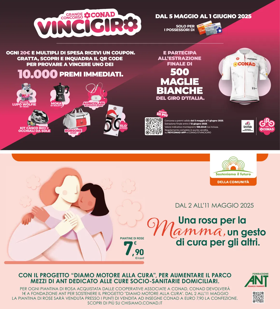 Pagina 31