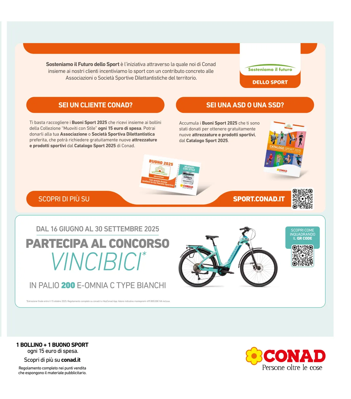 Pagina 43