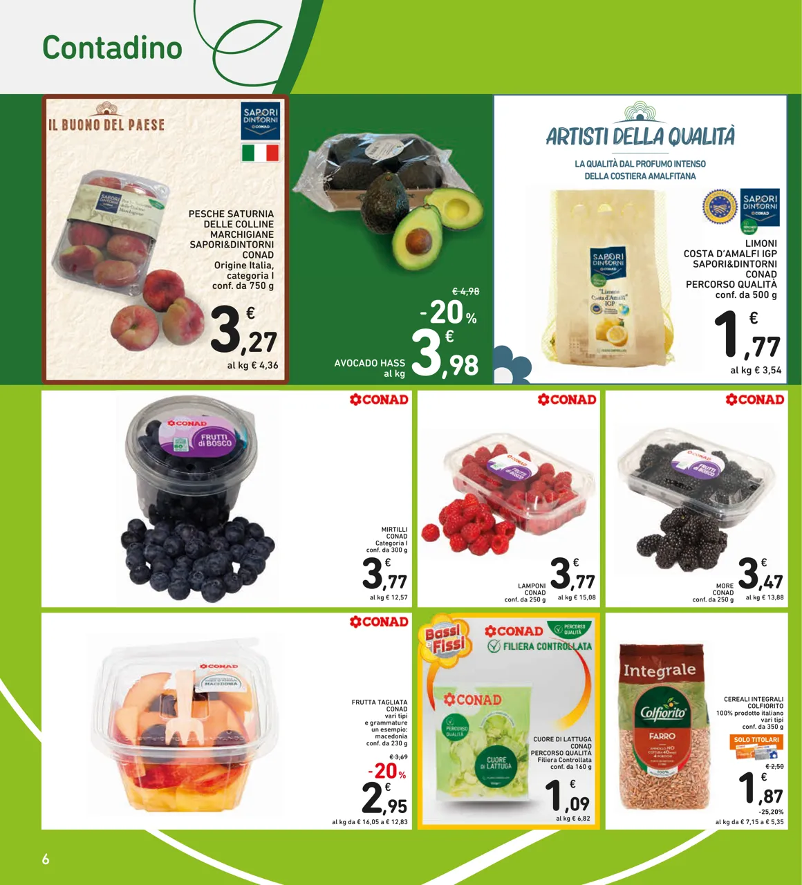 Pagina 6