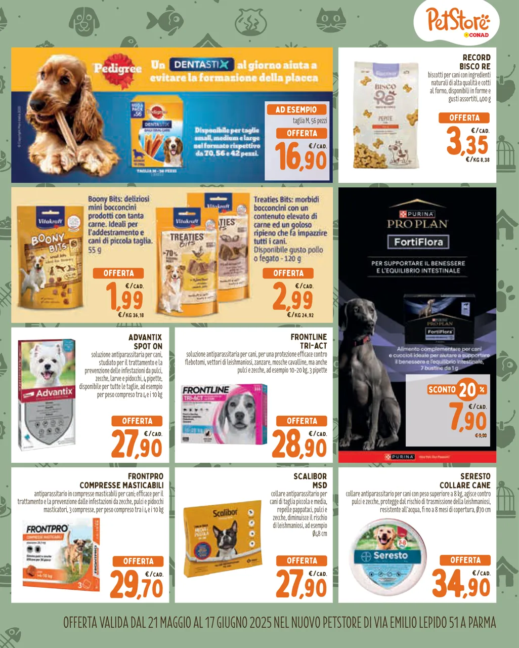 Pagina 7