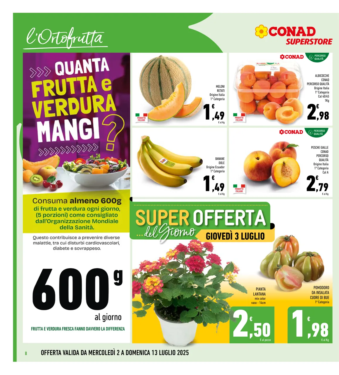 Pagina 8