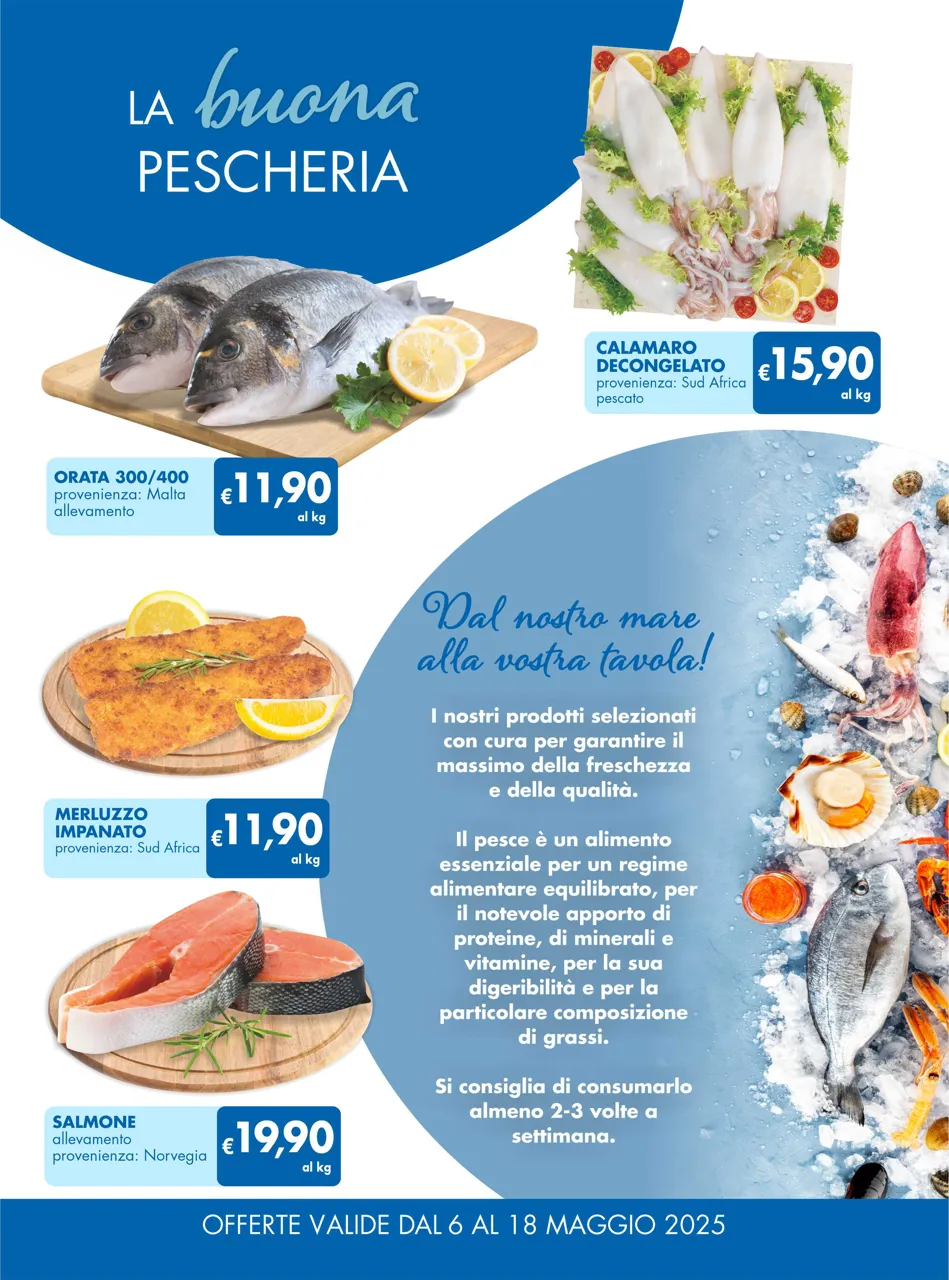 Pagina 12