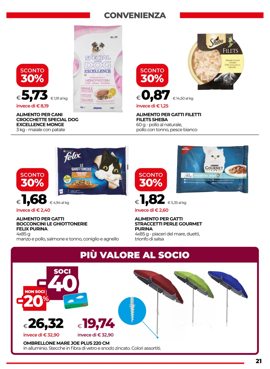 Pagina 21