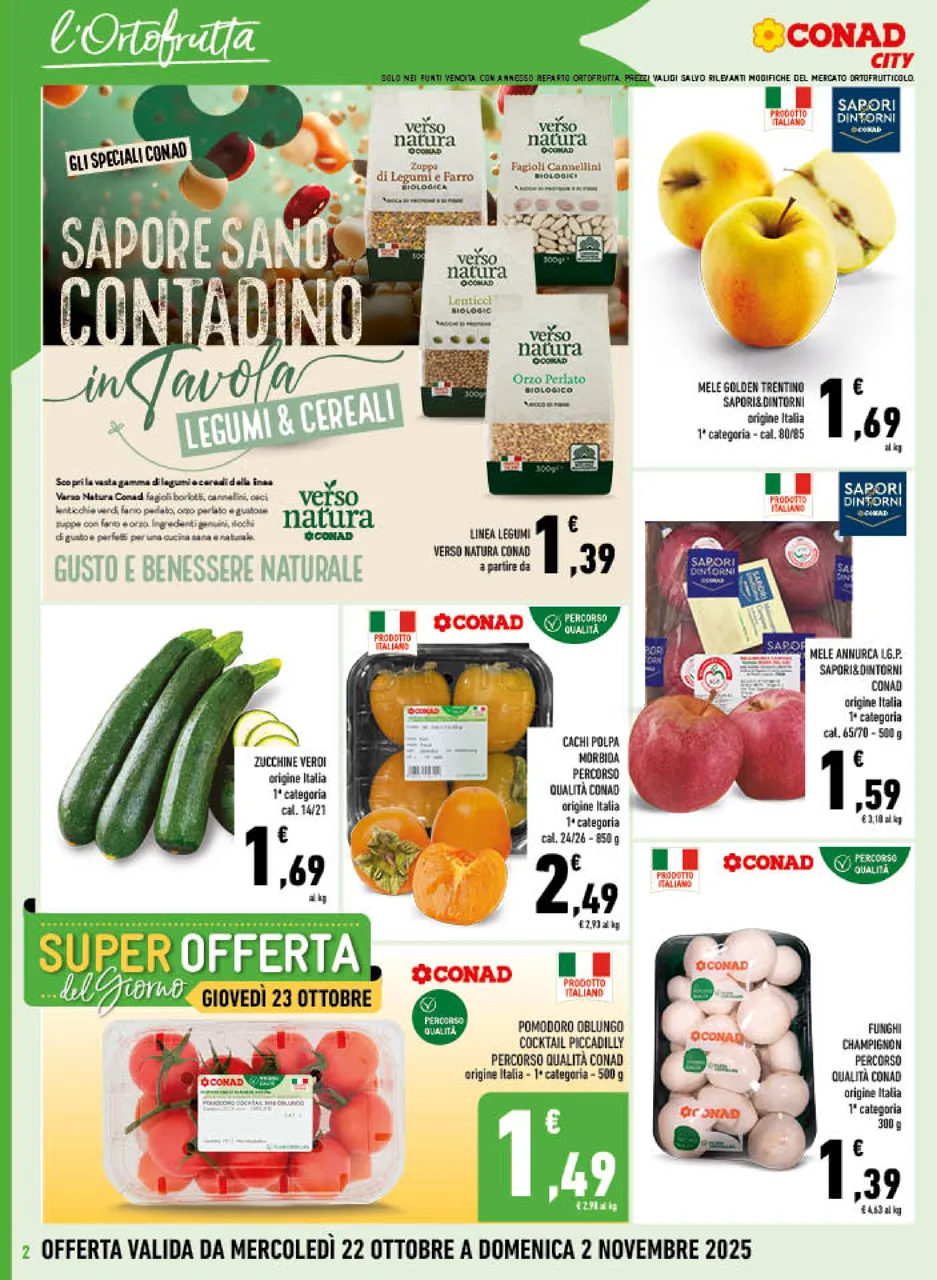 Pagina 2