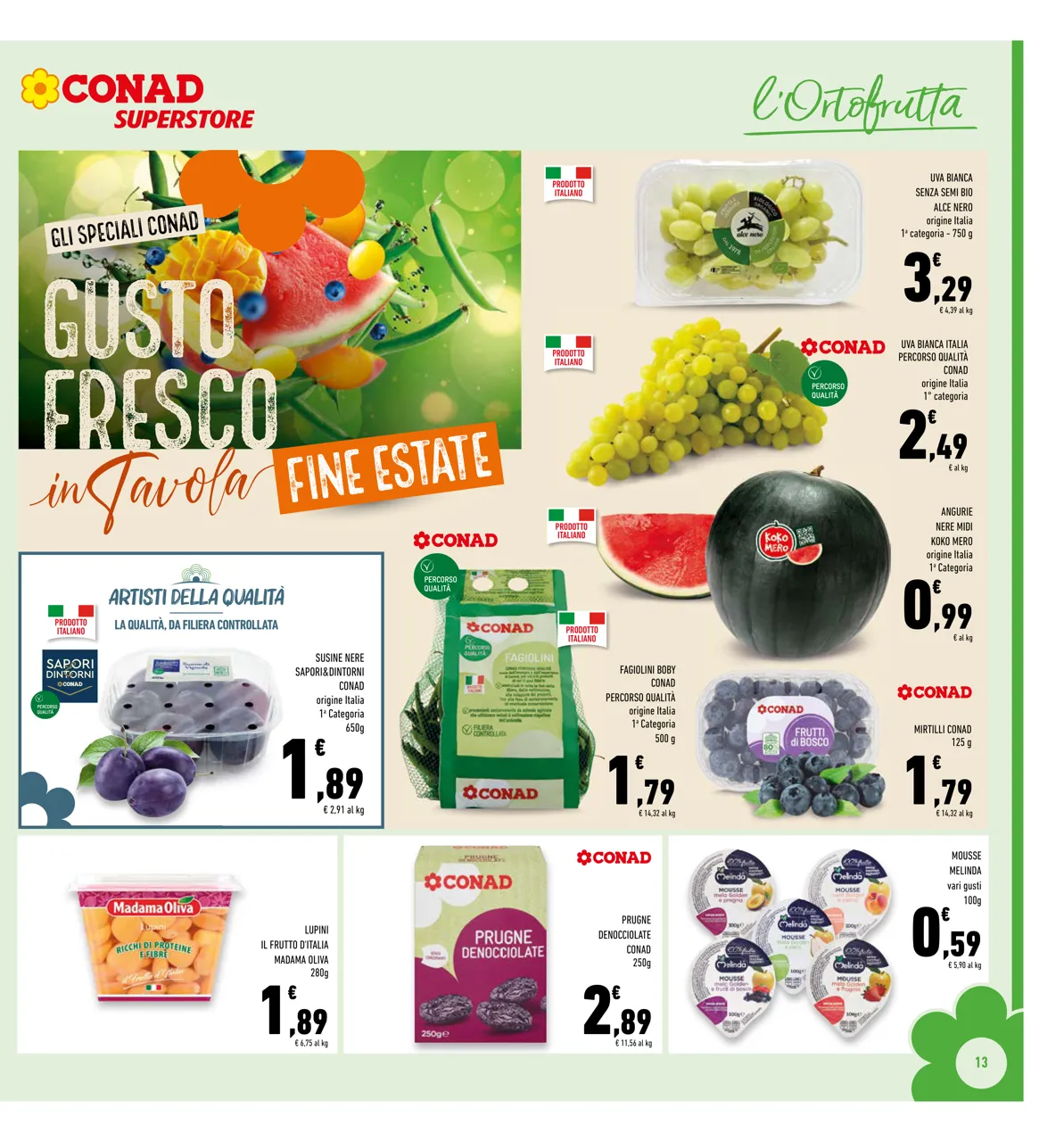 Pagina 13