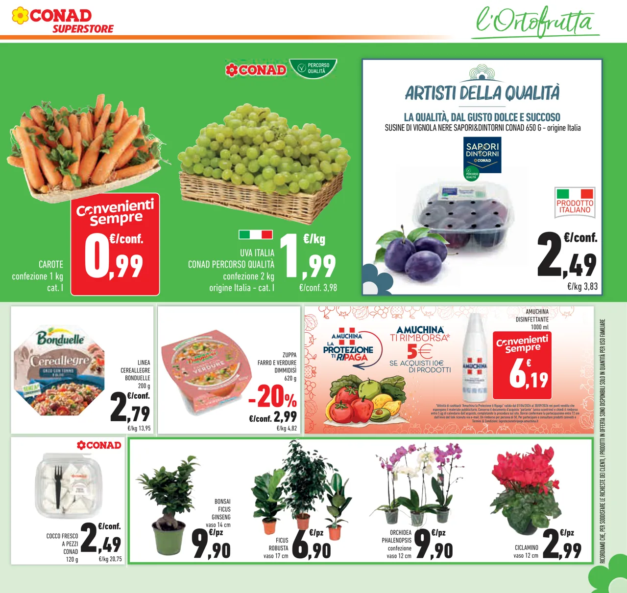 Pagina 27