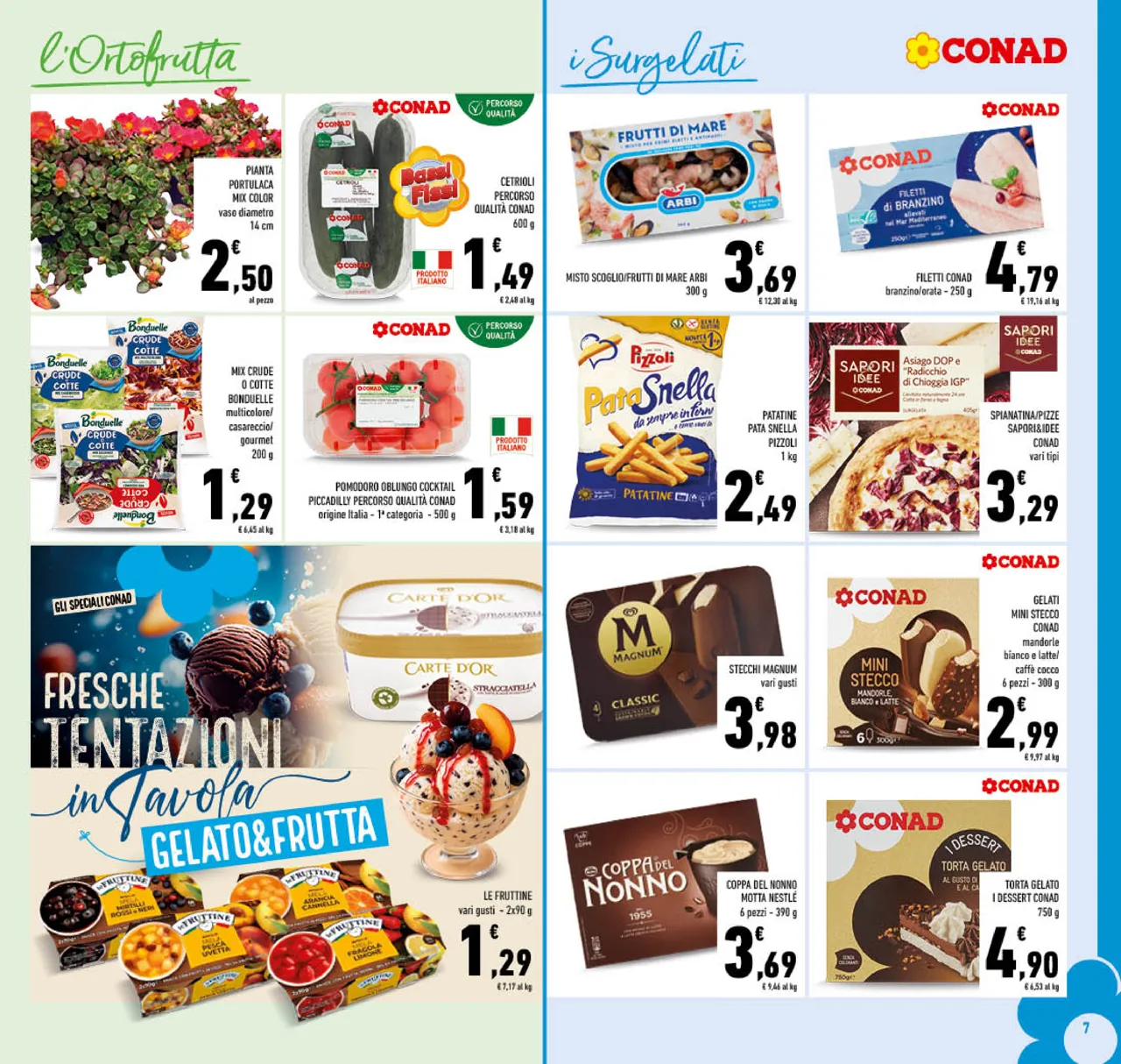 Pagina 7