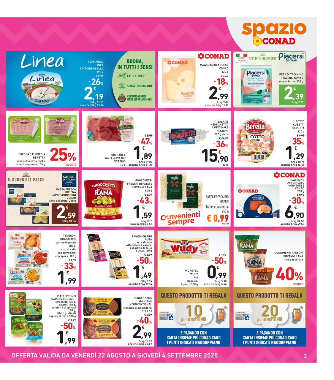Pagina 3