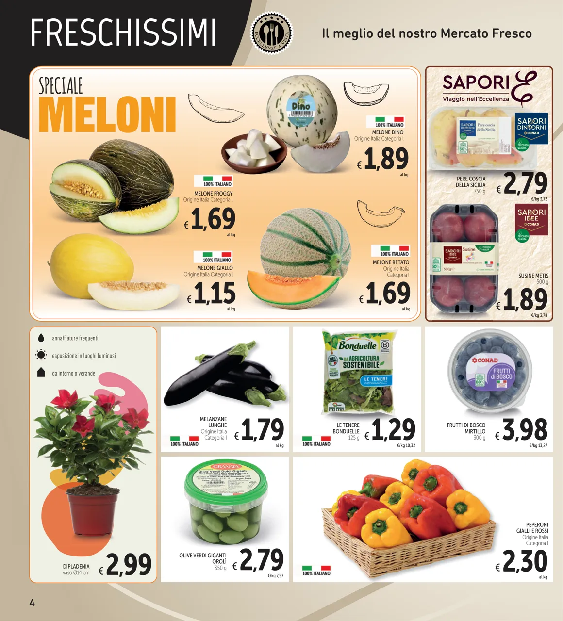 Pagina 4
