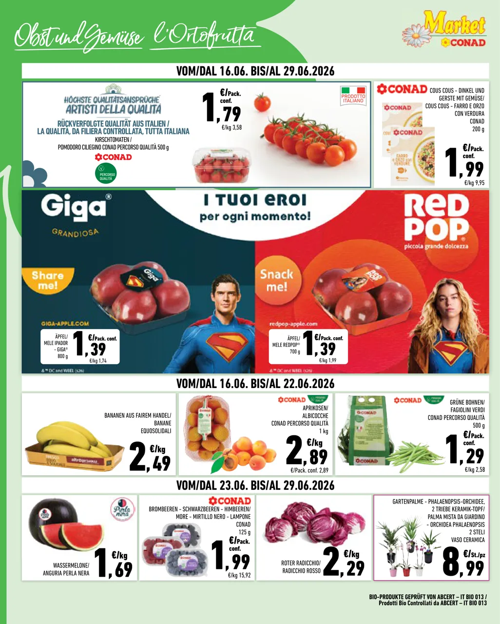 Pagina 2