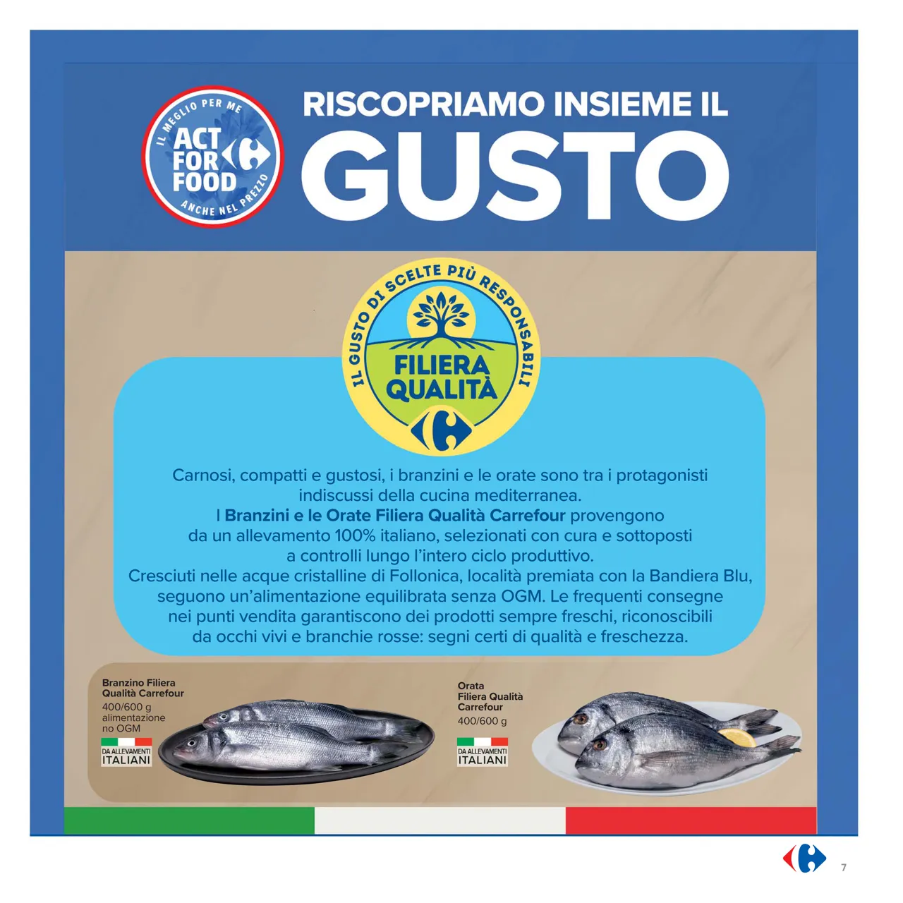 Pagina 7