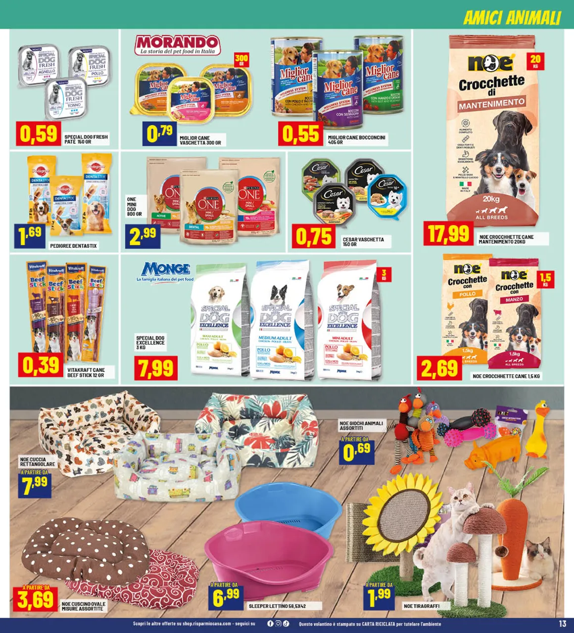 Pagina 13