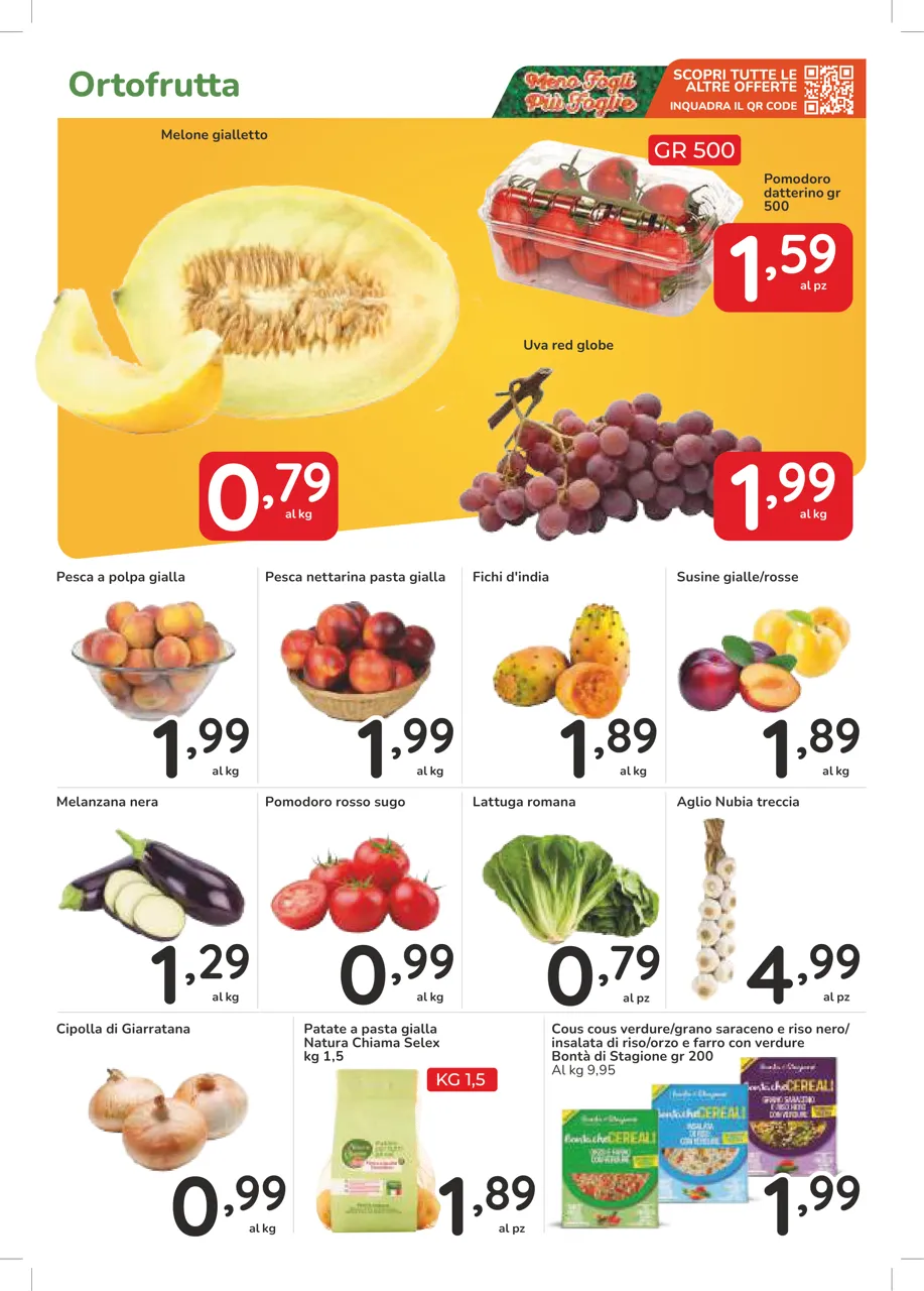Pagina 7