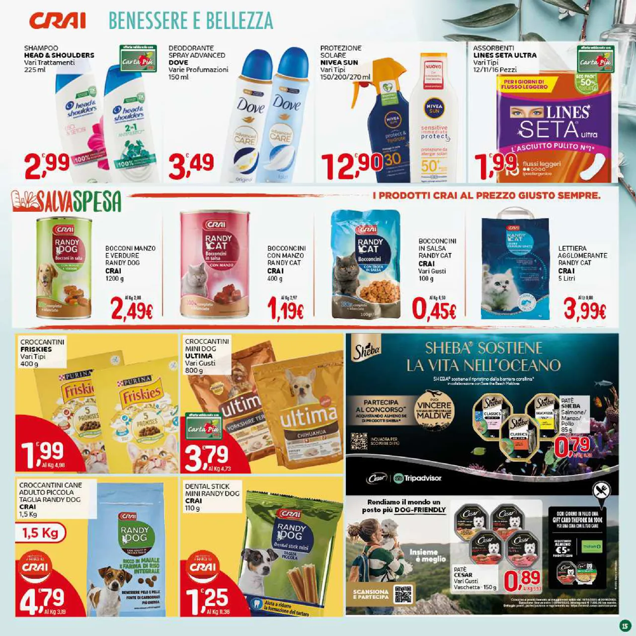 Pagina 15