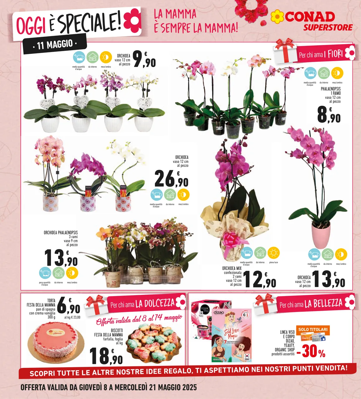 Pagina 8