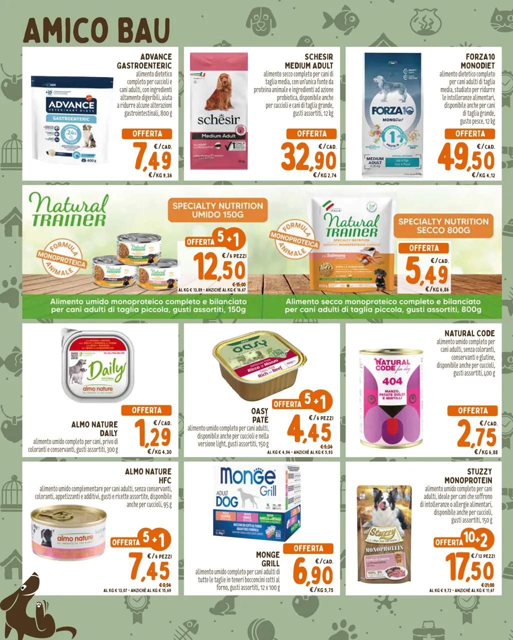 Pagina 2