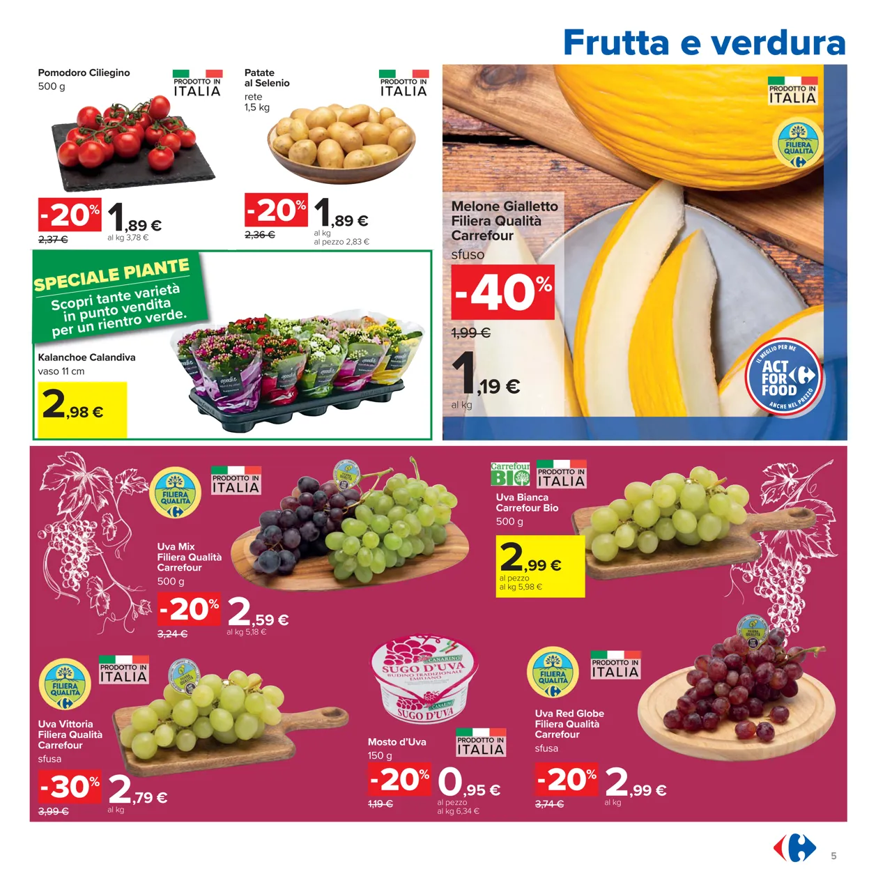 Pagina 5