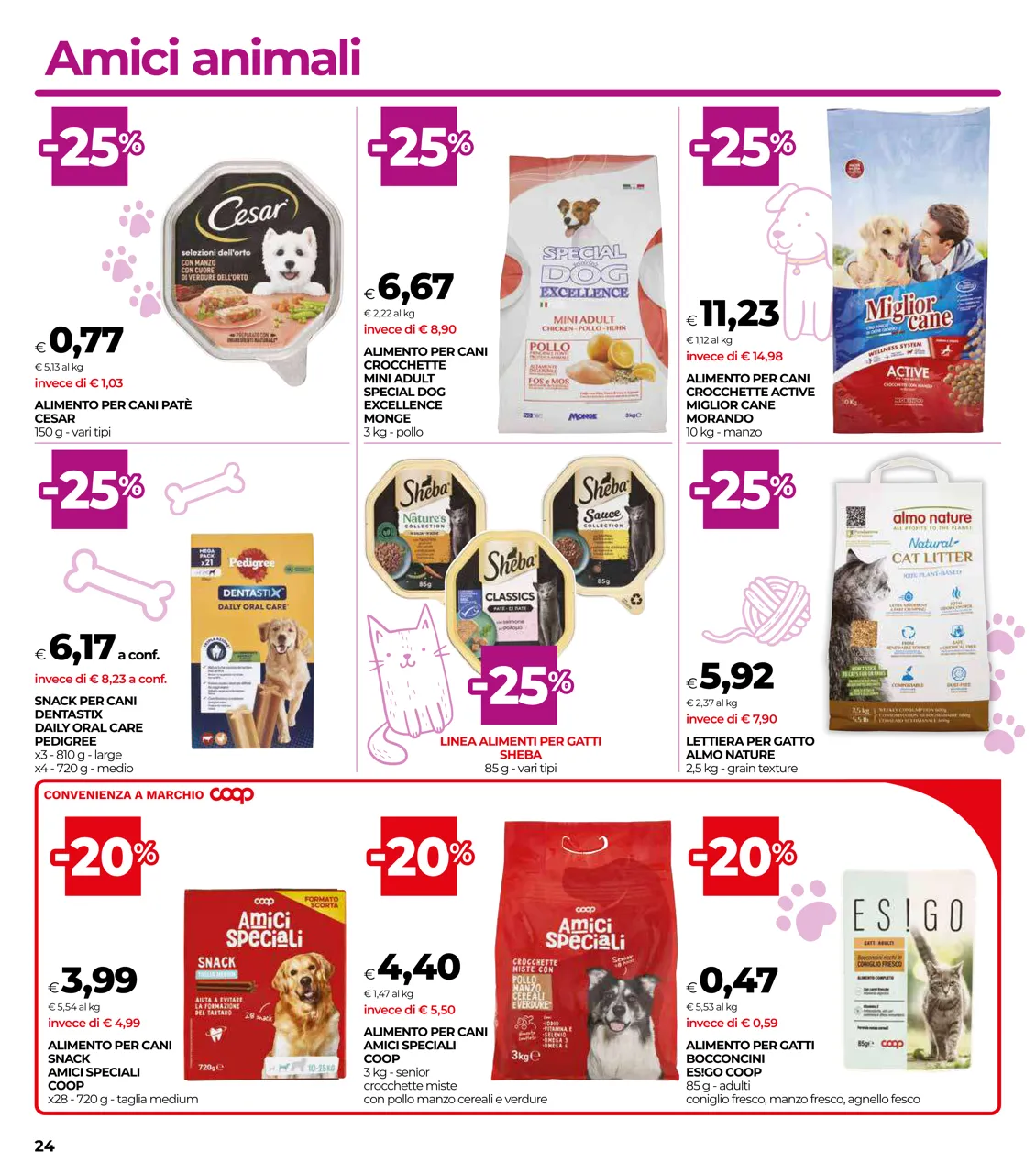 Pagina 24