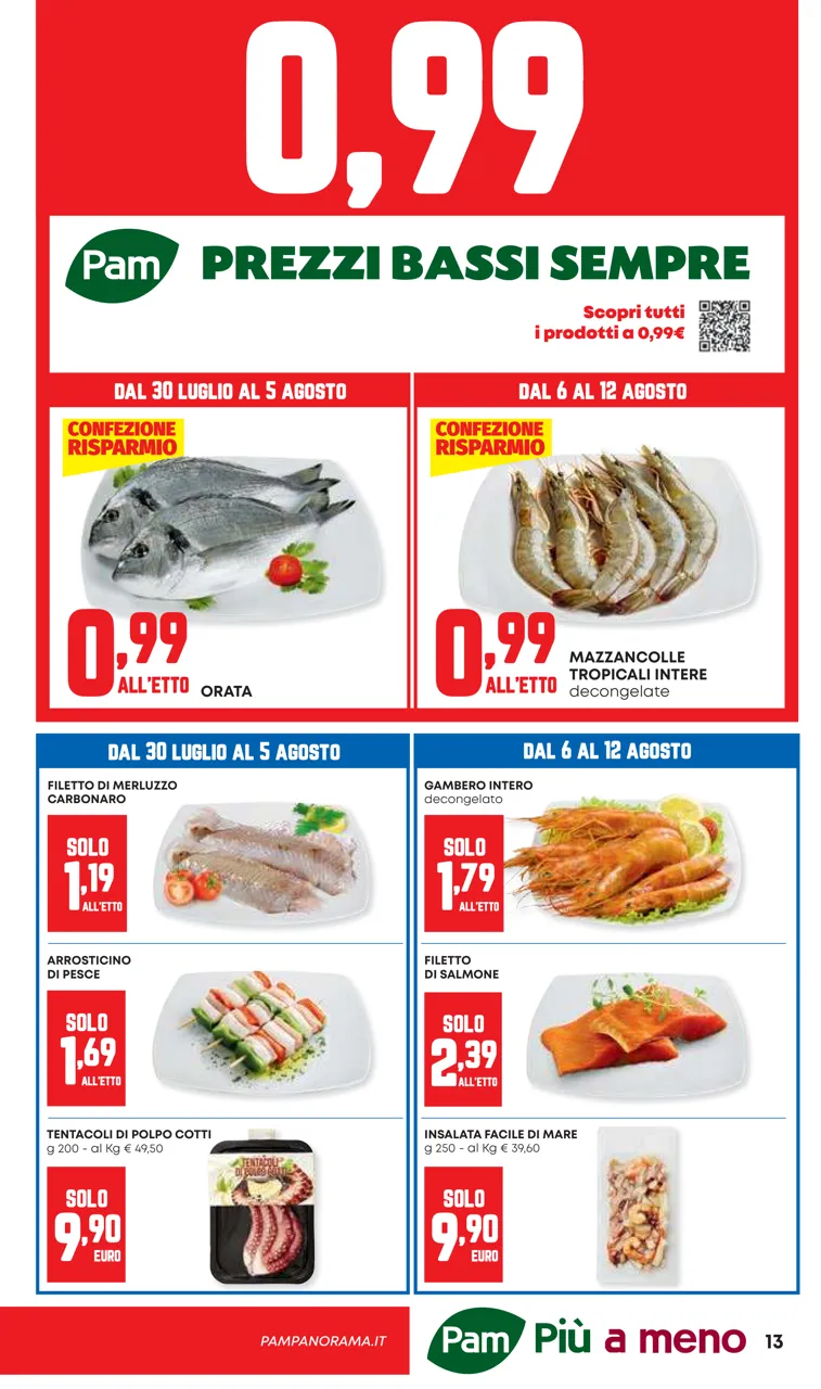 Pagina 13