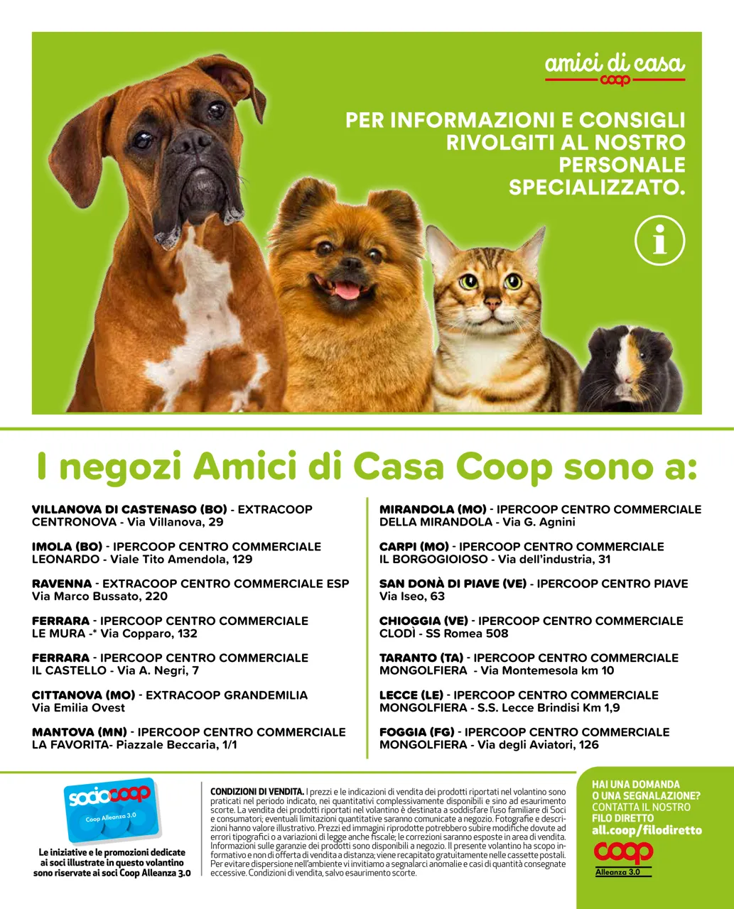 Pagina 10