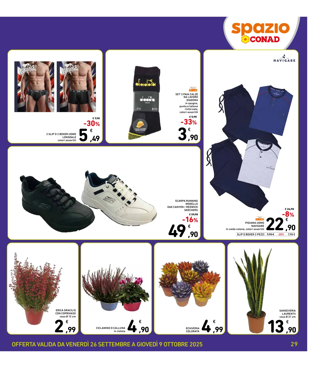 Pagina 29
