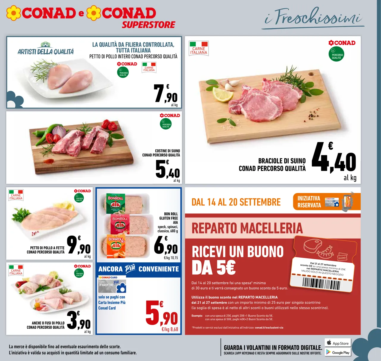 Pagina 11