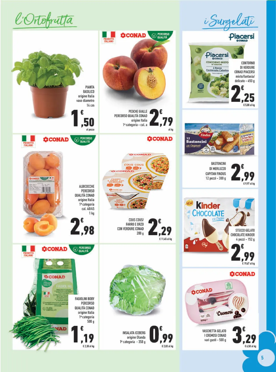 Pagina 5