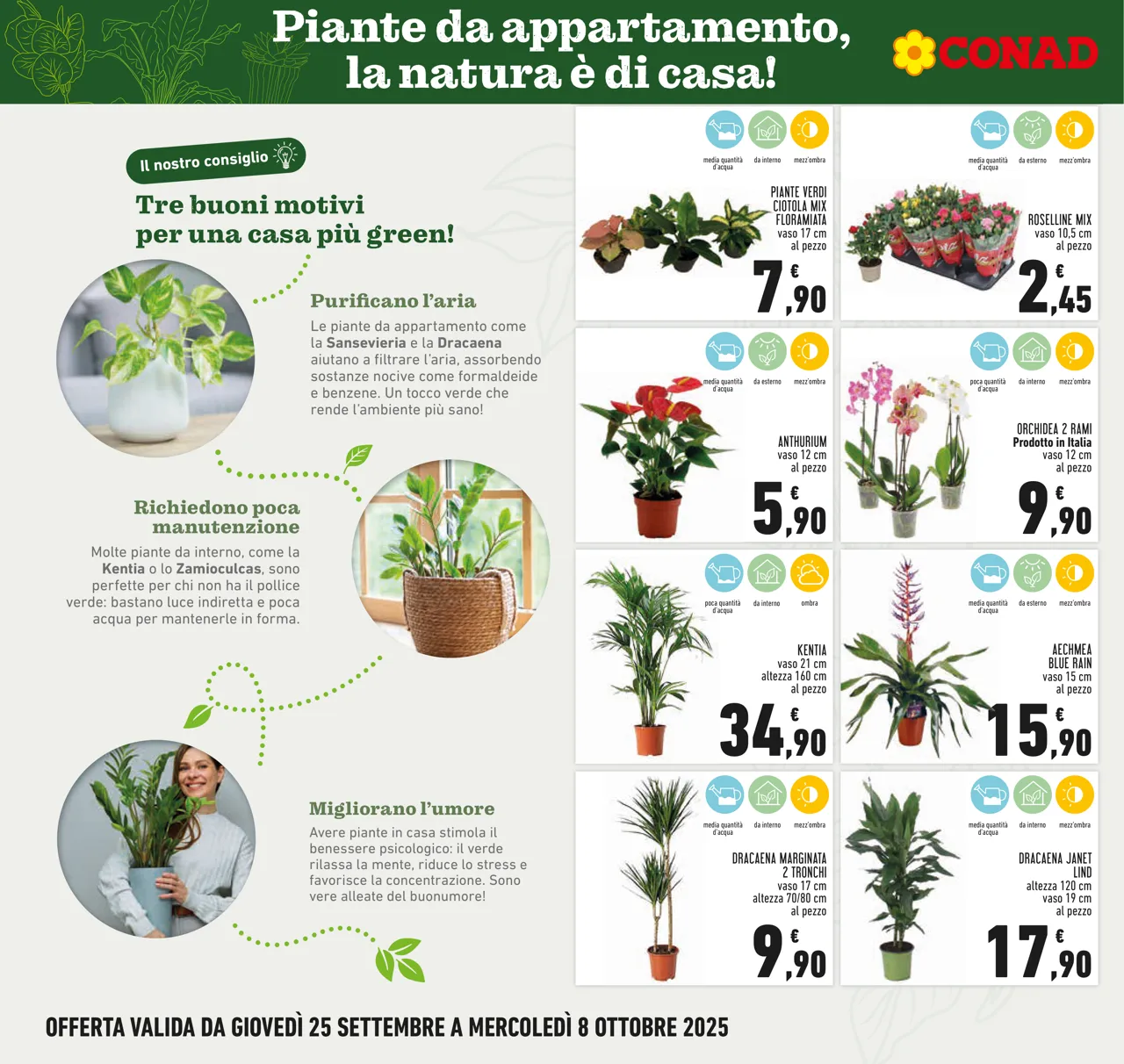 Pagina 6