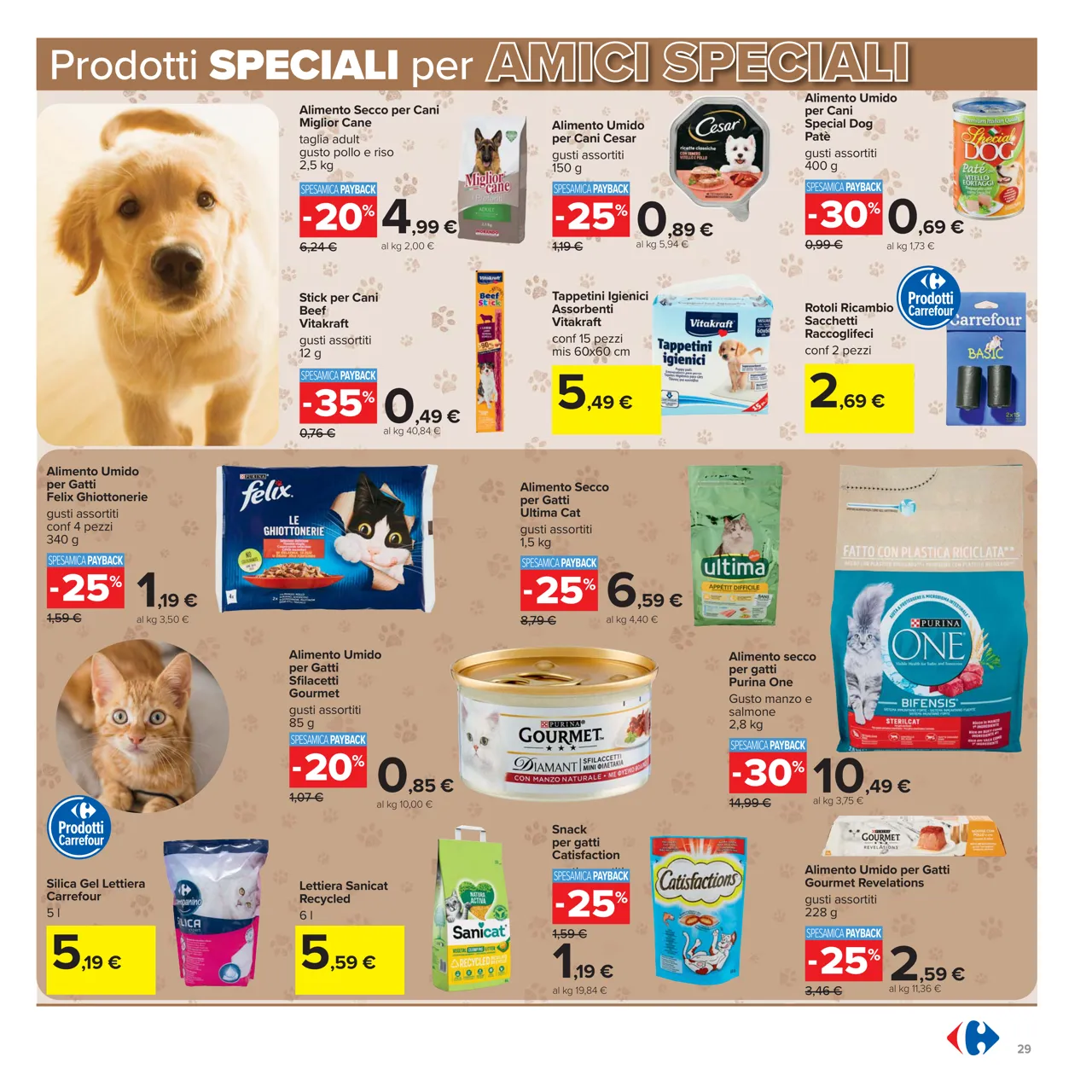 Pagina 29