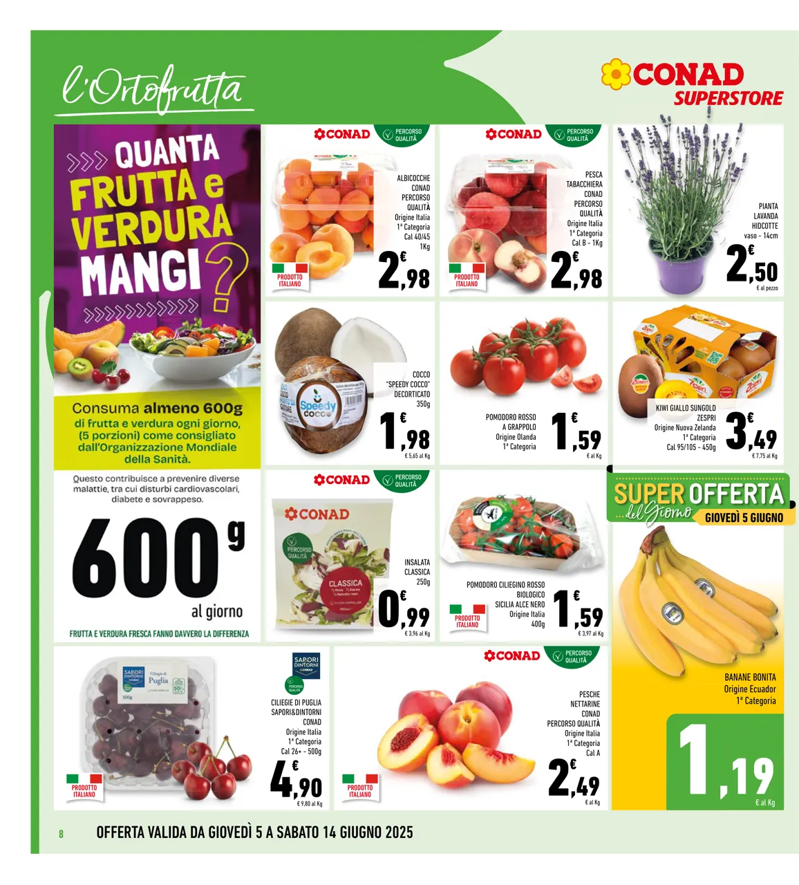 Pagina 8