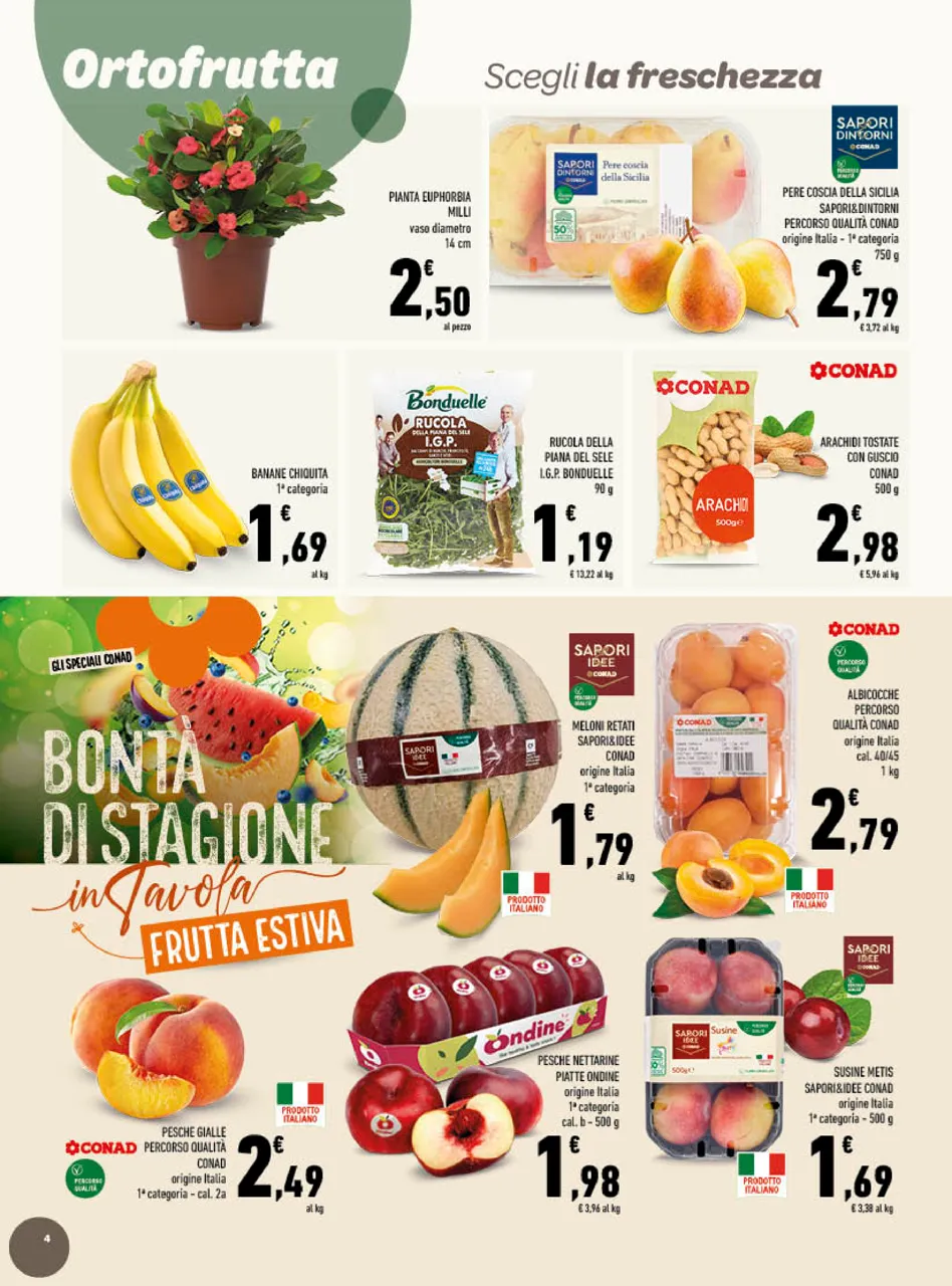 Pagina 4
