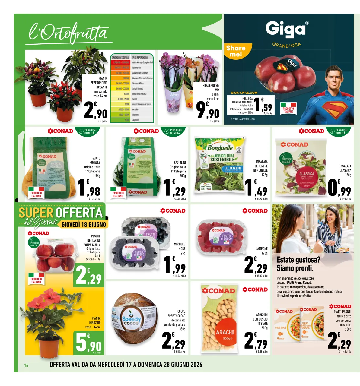Pagina 14
