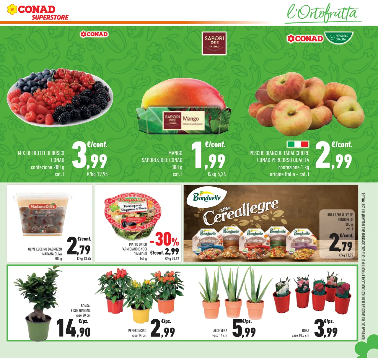 Pagina 31