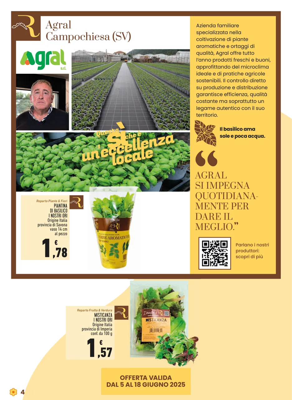 Pagina 4