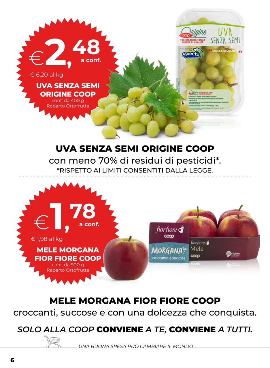 Pagina 6