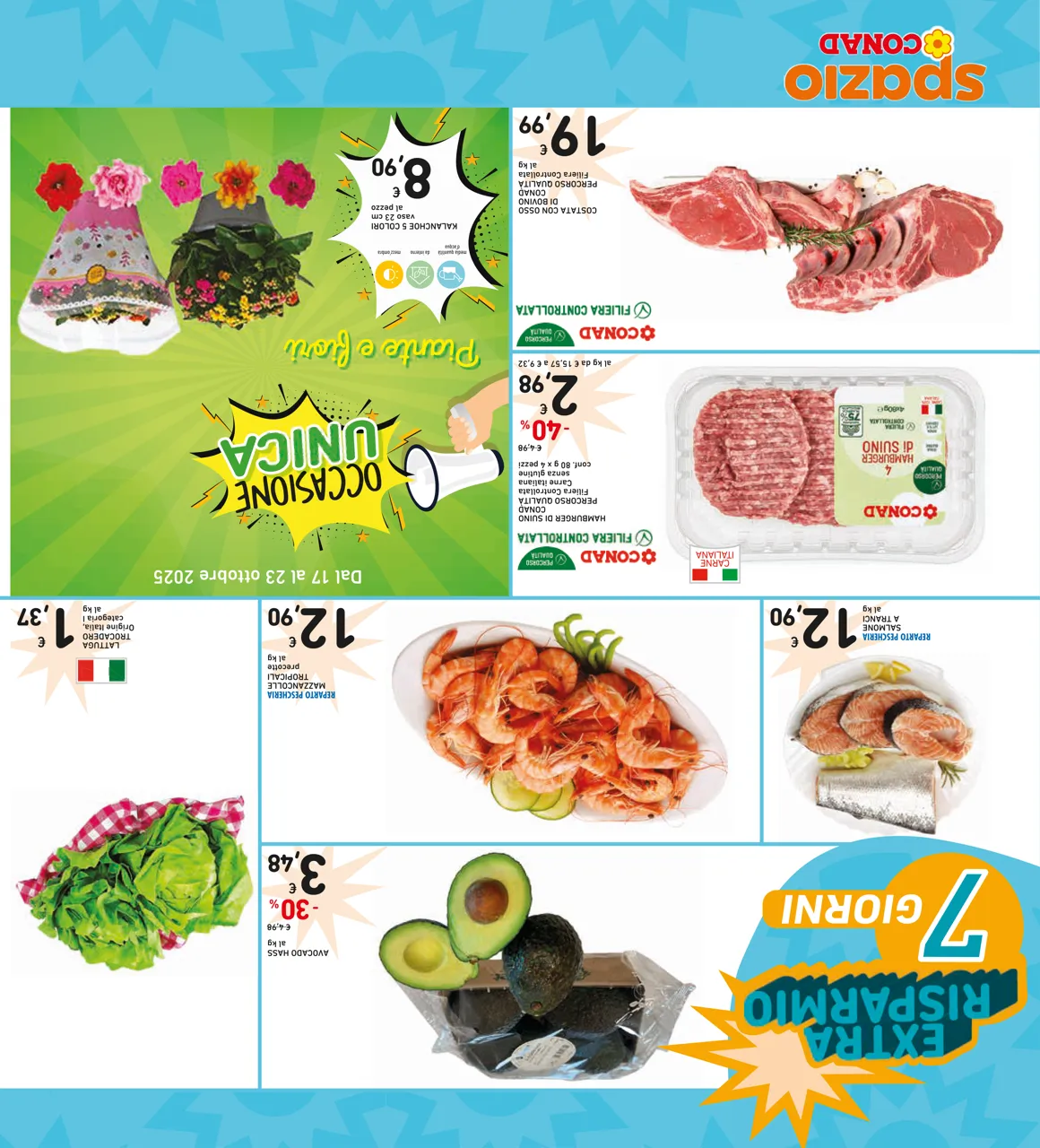 Pagina 36