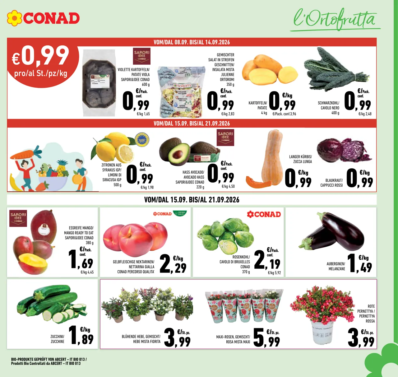 Pagina 3
