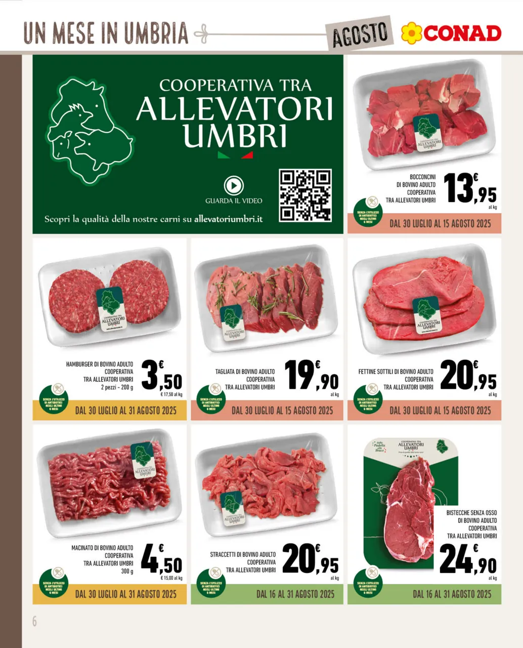 Pagina 6