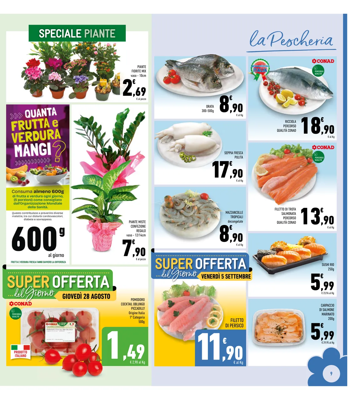 Pagina 9