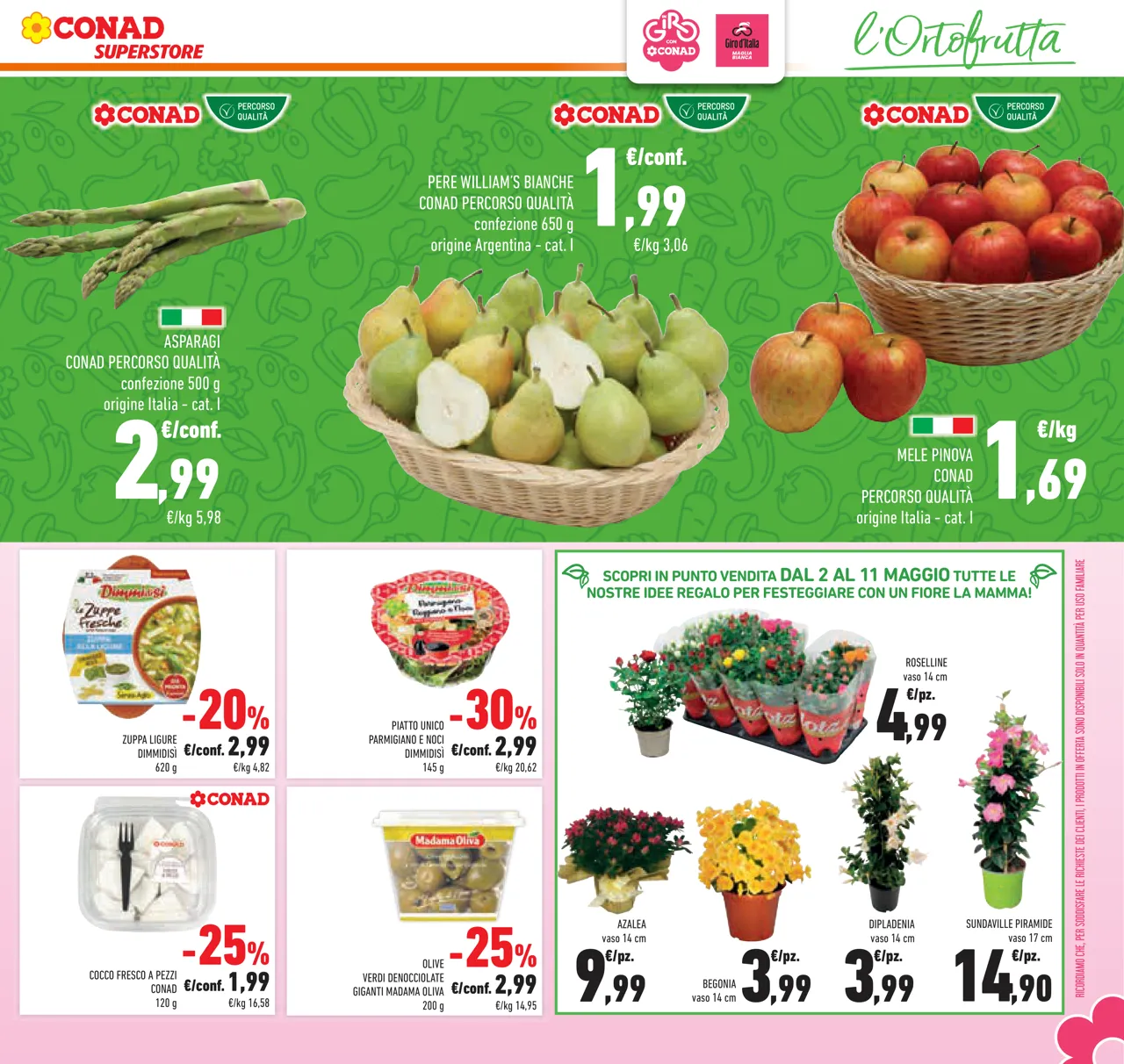 Pagina 31